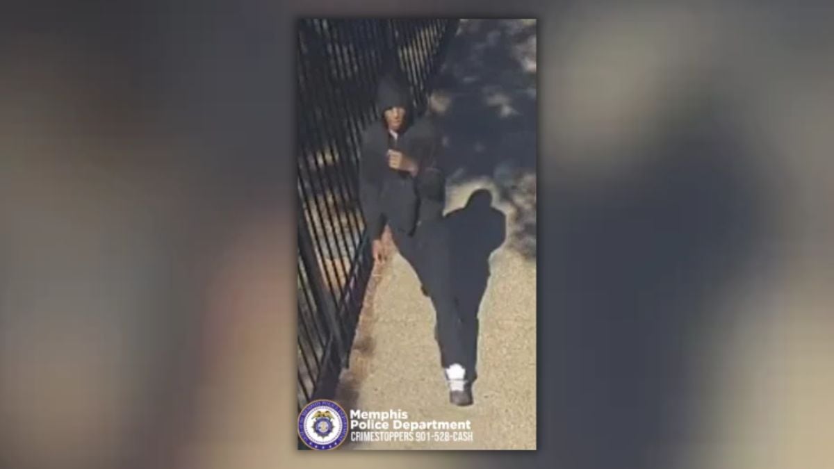 Man fires shots at stranger's car, police say