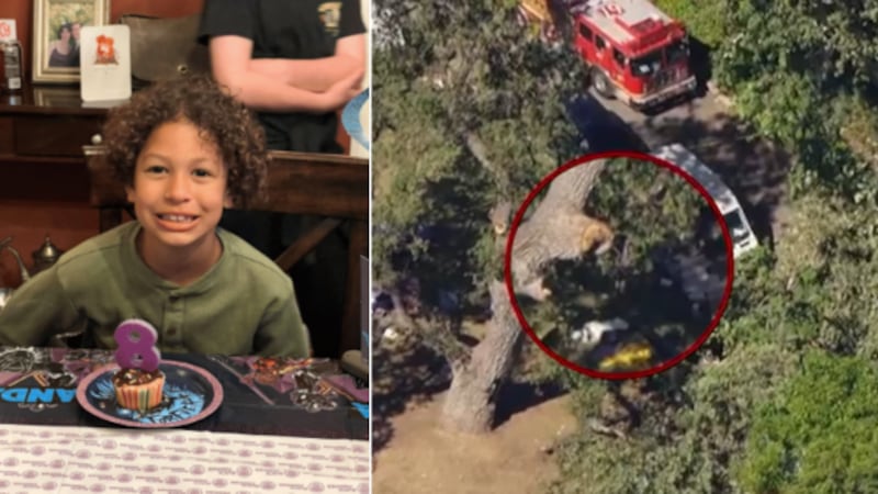 The family of an 8-year-old who was killed by a fallen tree branch is suing the campsite's...