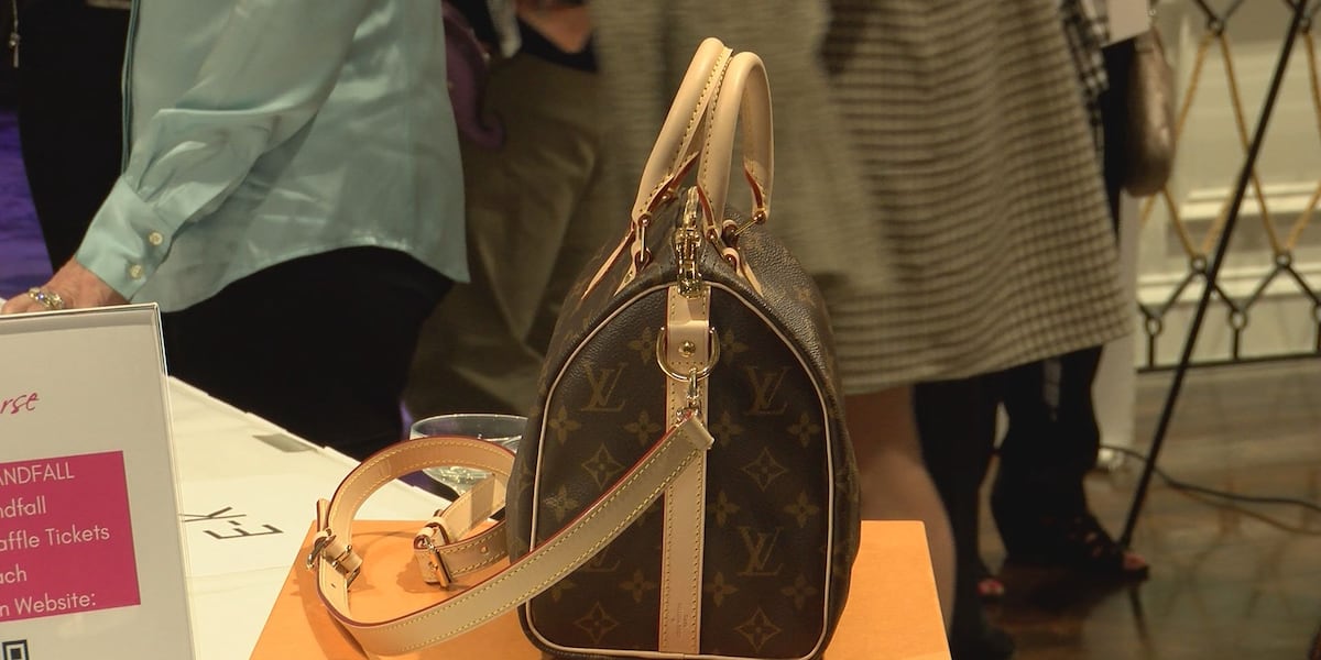 10th annual ‘Power of the Purse’ event held by Women’s Foundation for a Greater Memphis – Action News 5 10th annual ‘Power of the Purse’ event held by Women’s Foundation for a Greater Memphis – Action News 5