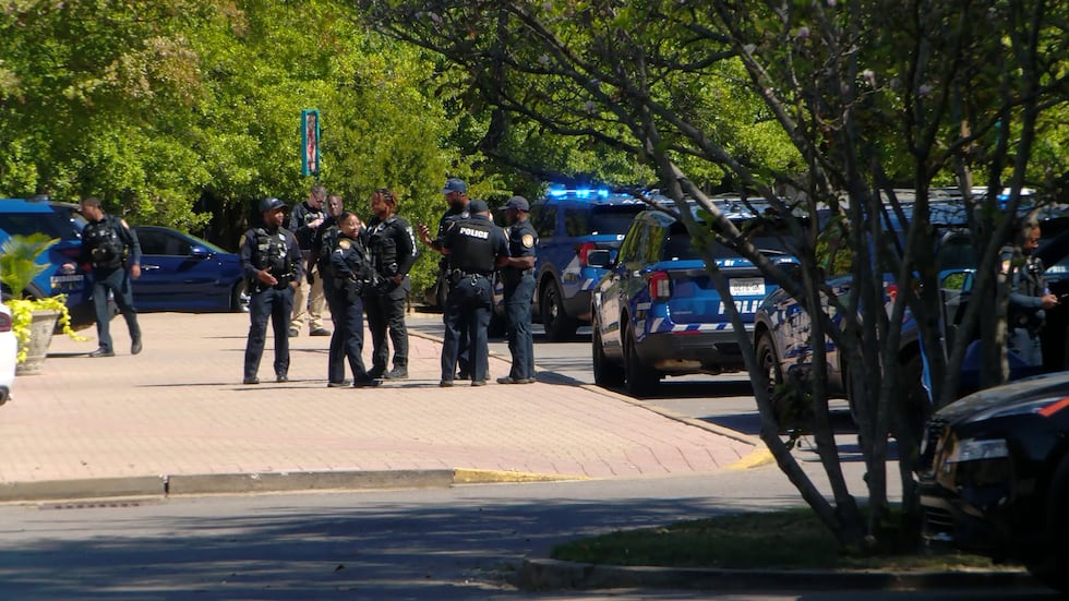 Multiple detained after fight led to a gun being drawn at Memphis Zoo, officials say