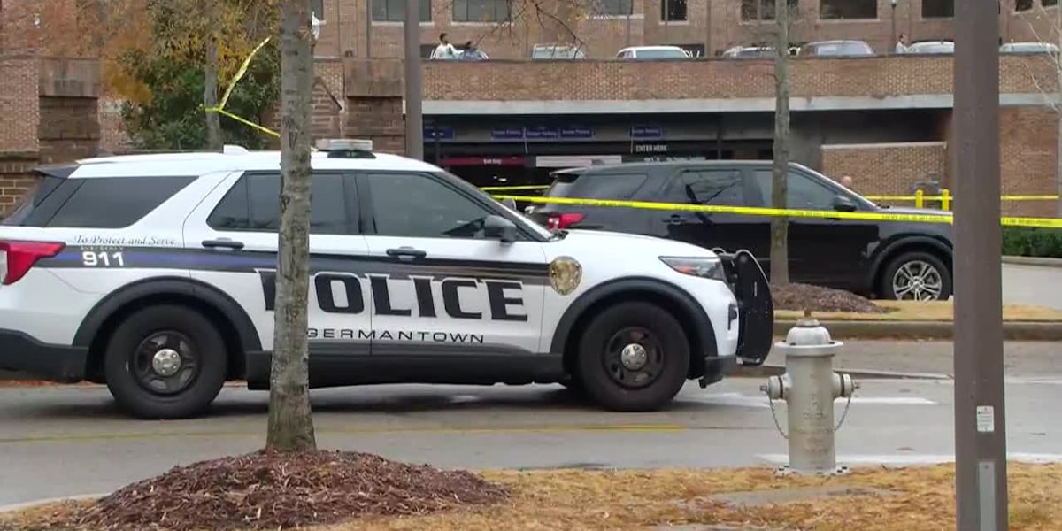 Robbery News Image