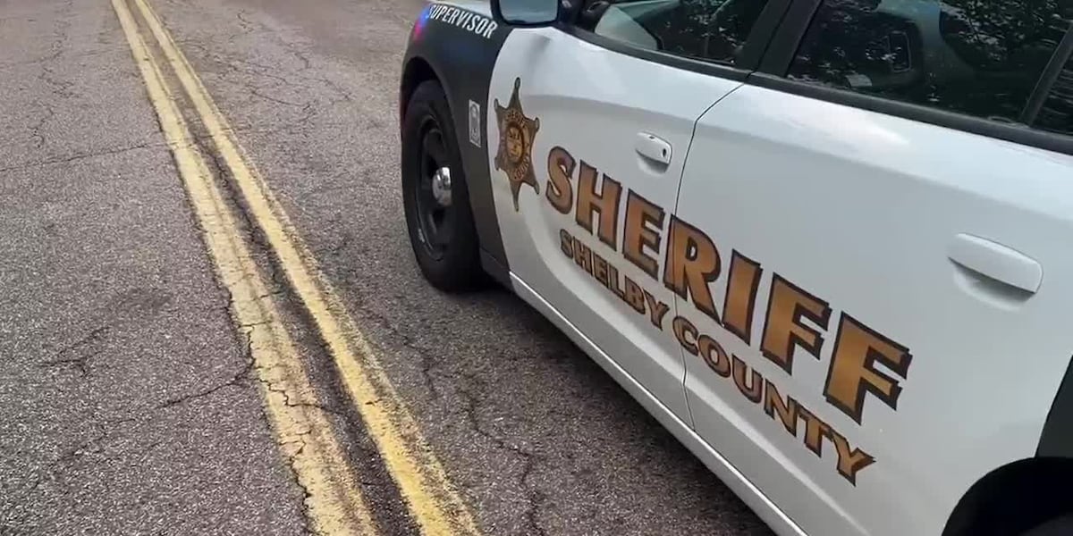 Assault News Image