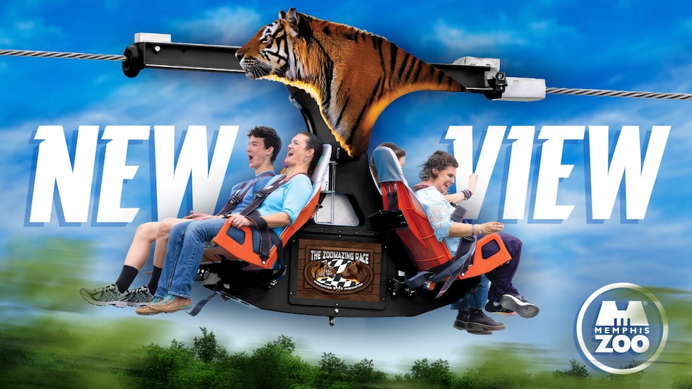 The ZooMazing Race coming to the Memphis Zoo