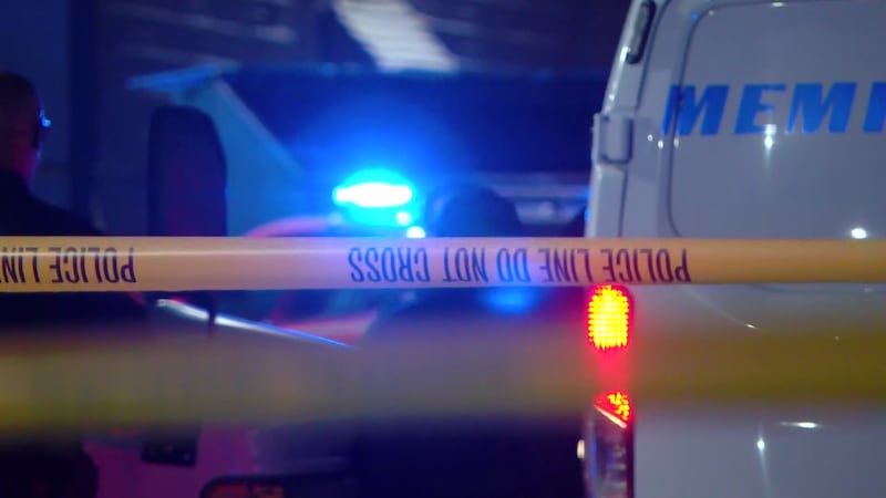 Memphis police generic