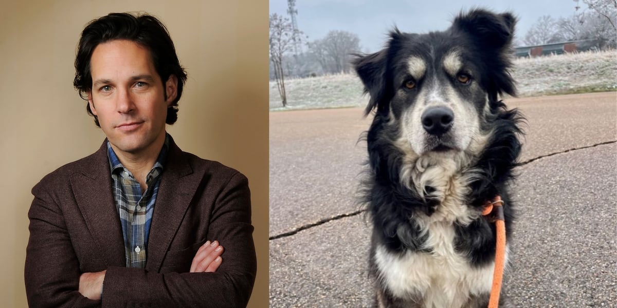 Famous Collierville shelter pup with same facial expressions as Paul ...
