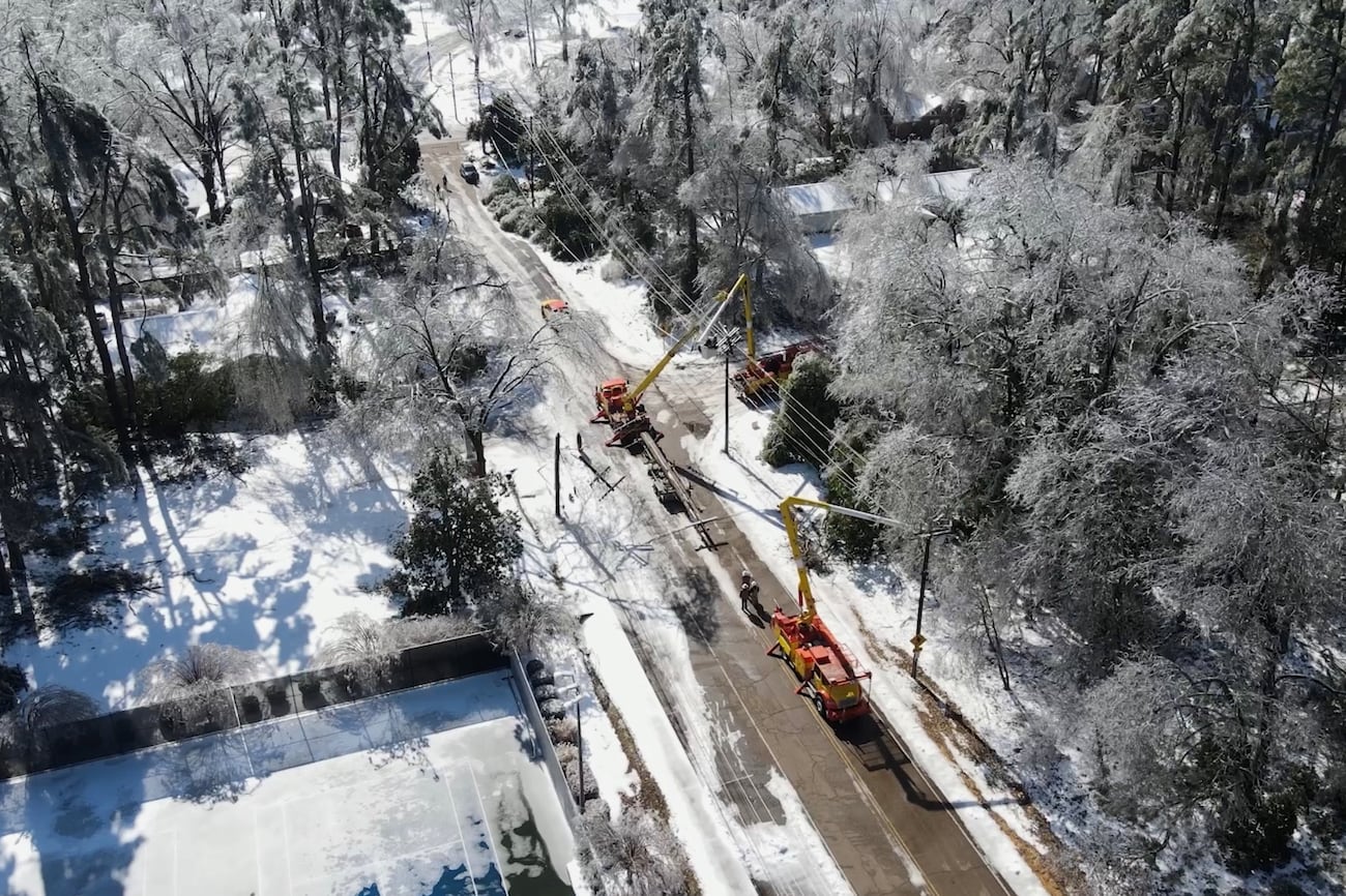 Tree Grail Ole miss fans return to Grove for first tailgate after ice storm