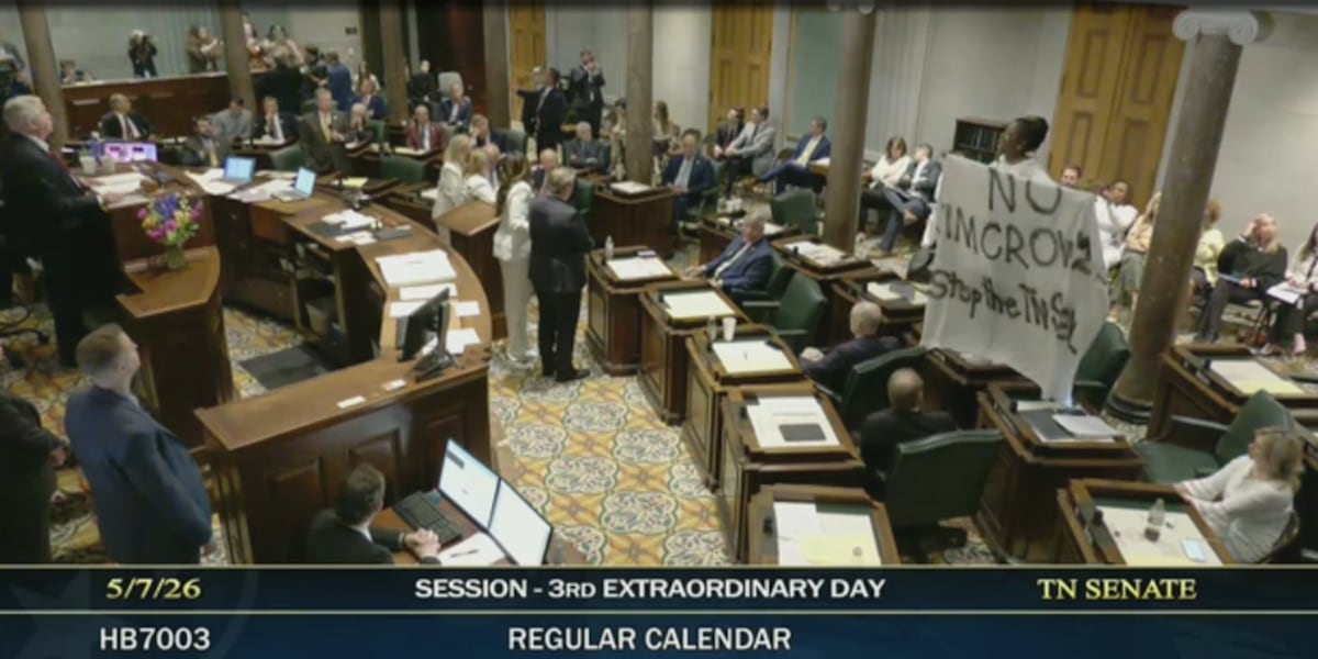 TN lawmakers pass new congressional map, dividing Memphis as protests ...