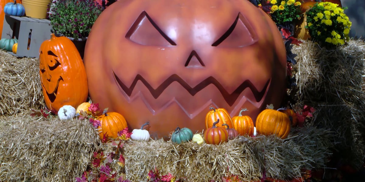 Zoo Boo Halloween event kicks off Friday