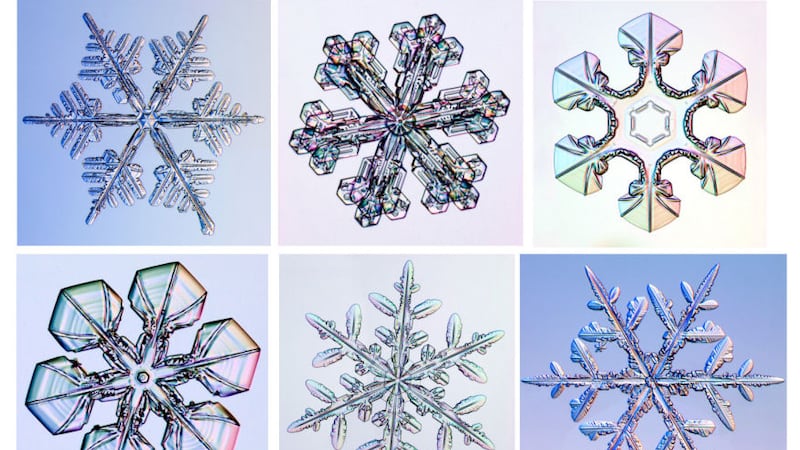 Examples Snowflake Differences Breakdown: Why no two snowflakes are alike