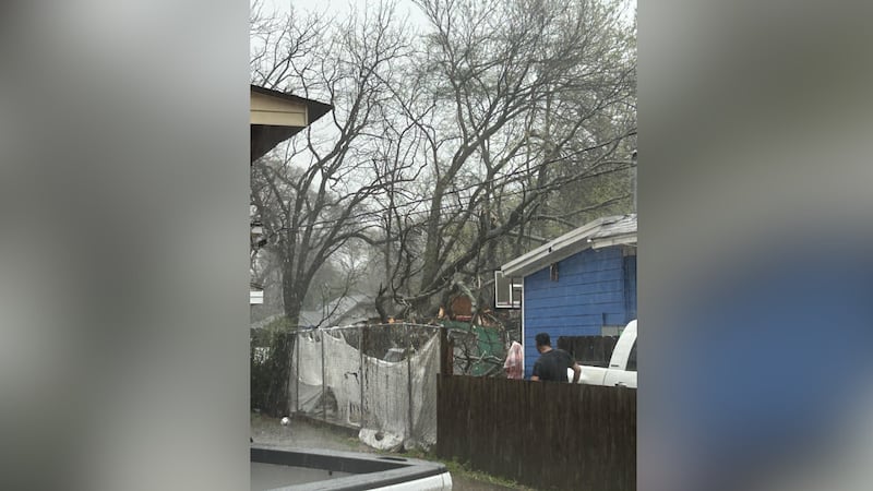 Tree fallen reported near the Highland Heights area