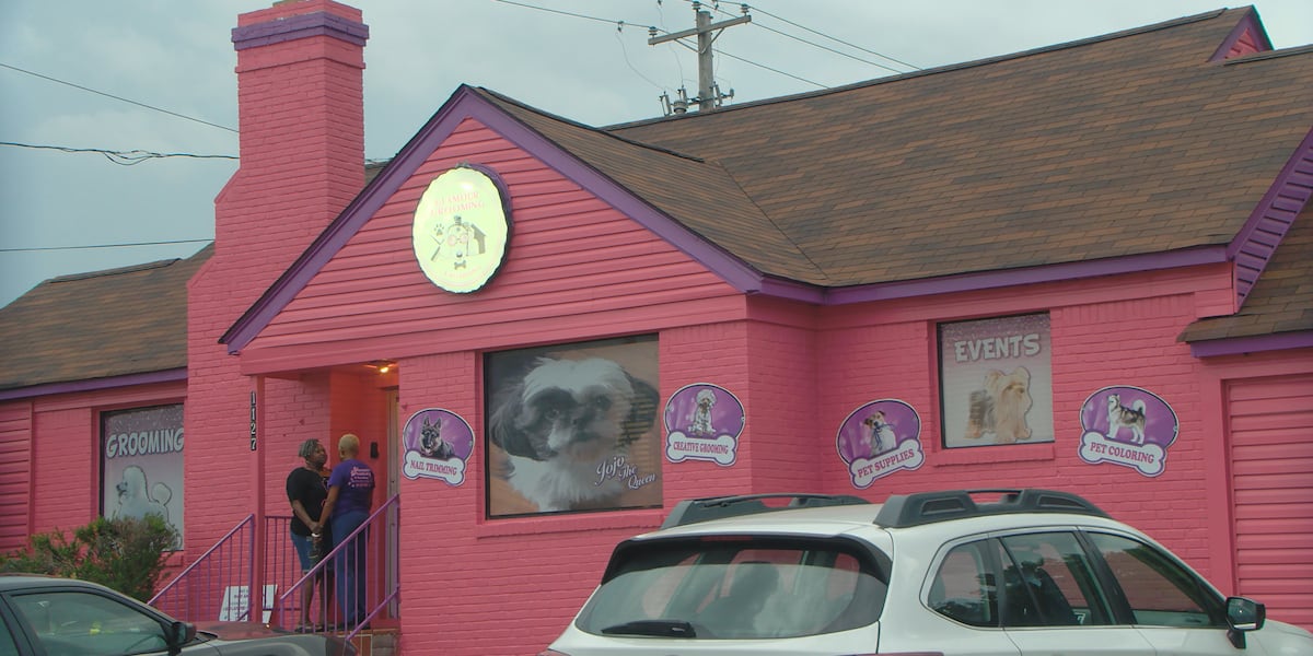 ‘Hold on all funds:’ Shelby County Commissioner reallocates funding for dog grooming business, amid animal abuse allegations