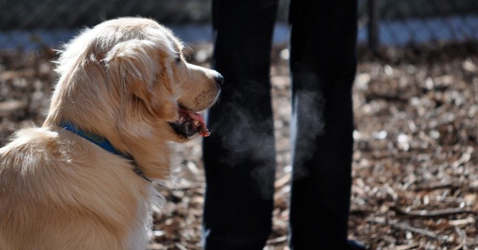 He was trying to catch his breath and so was I.