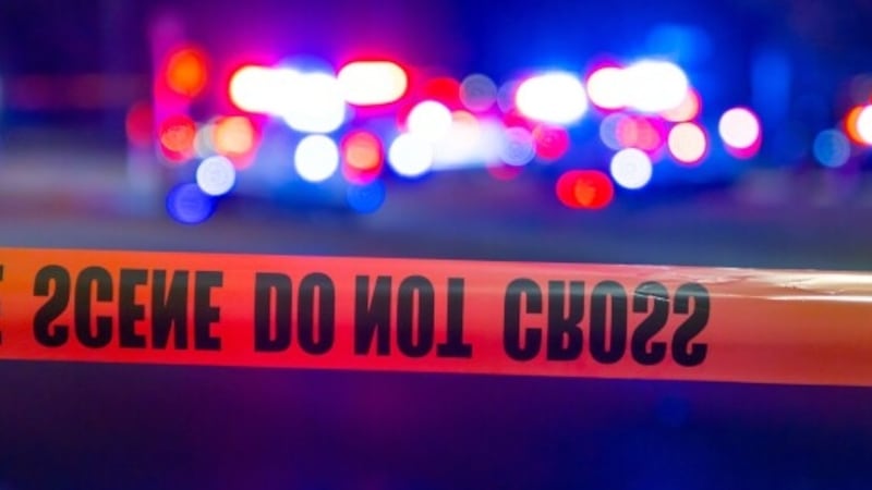 FILE - A man was arrested on animal cruelty charges after several puppies were found dead and...