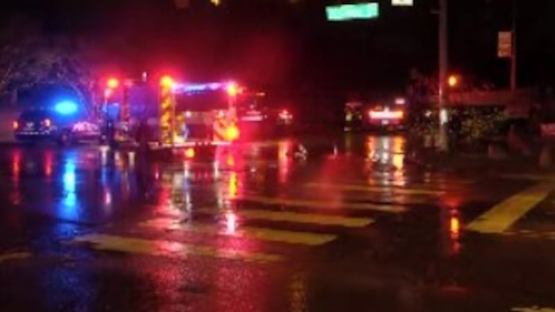 Tree falls in Midtown; MFD investigates