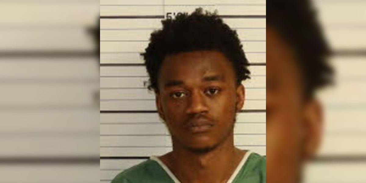 Man pleads guilty to 2024 robbery, murder
