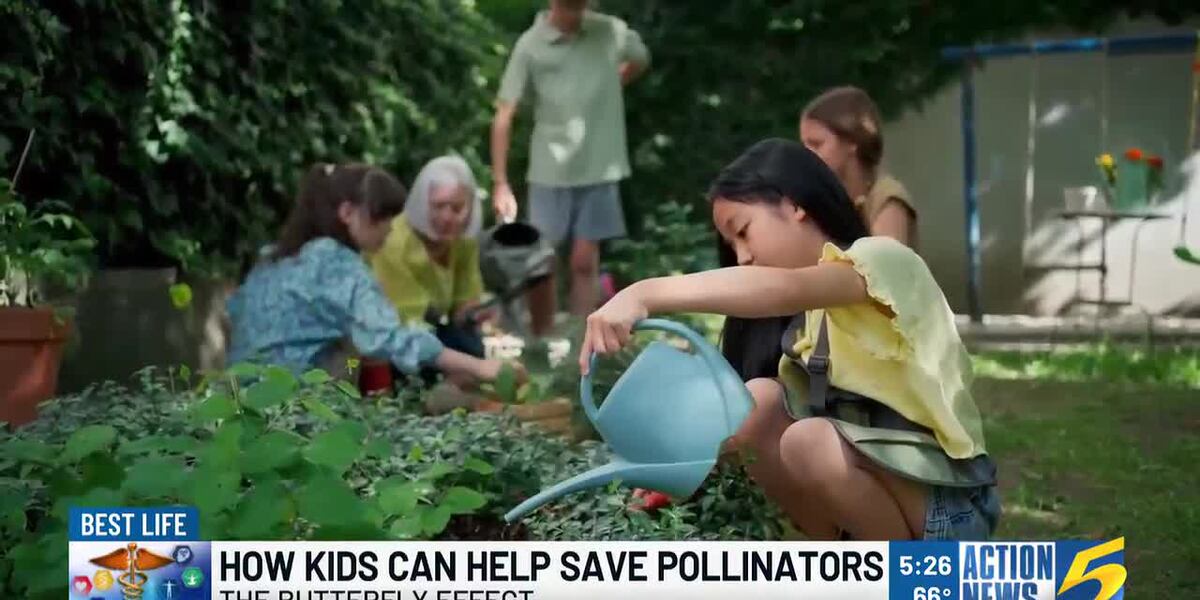 How kids can help save pollinators