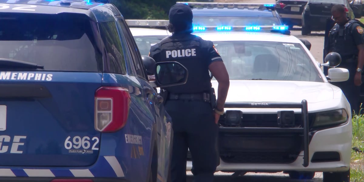 Assault News Image