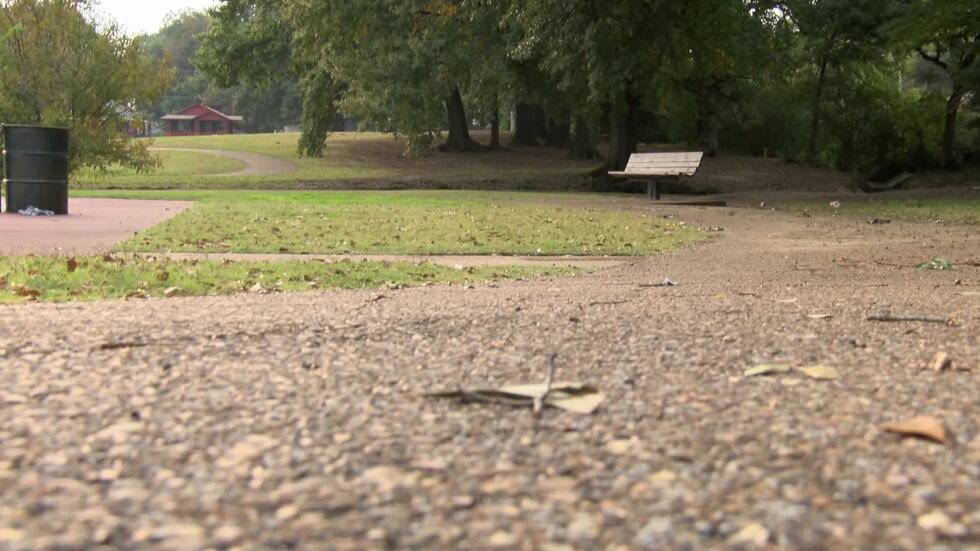 An elderly man who was beaten in a Memphis park last October has died from his injuries.