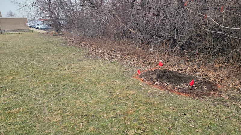Police say two half-sisters were found buried in suitcases in shallow graves in a field. It's...