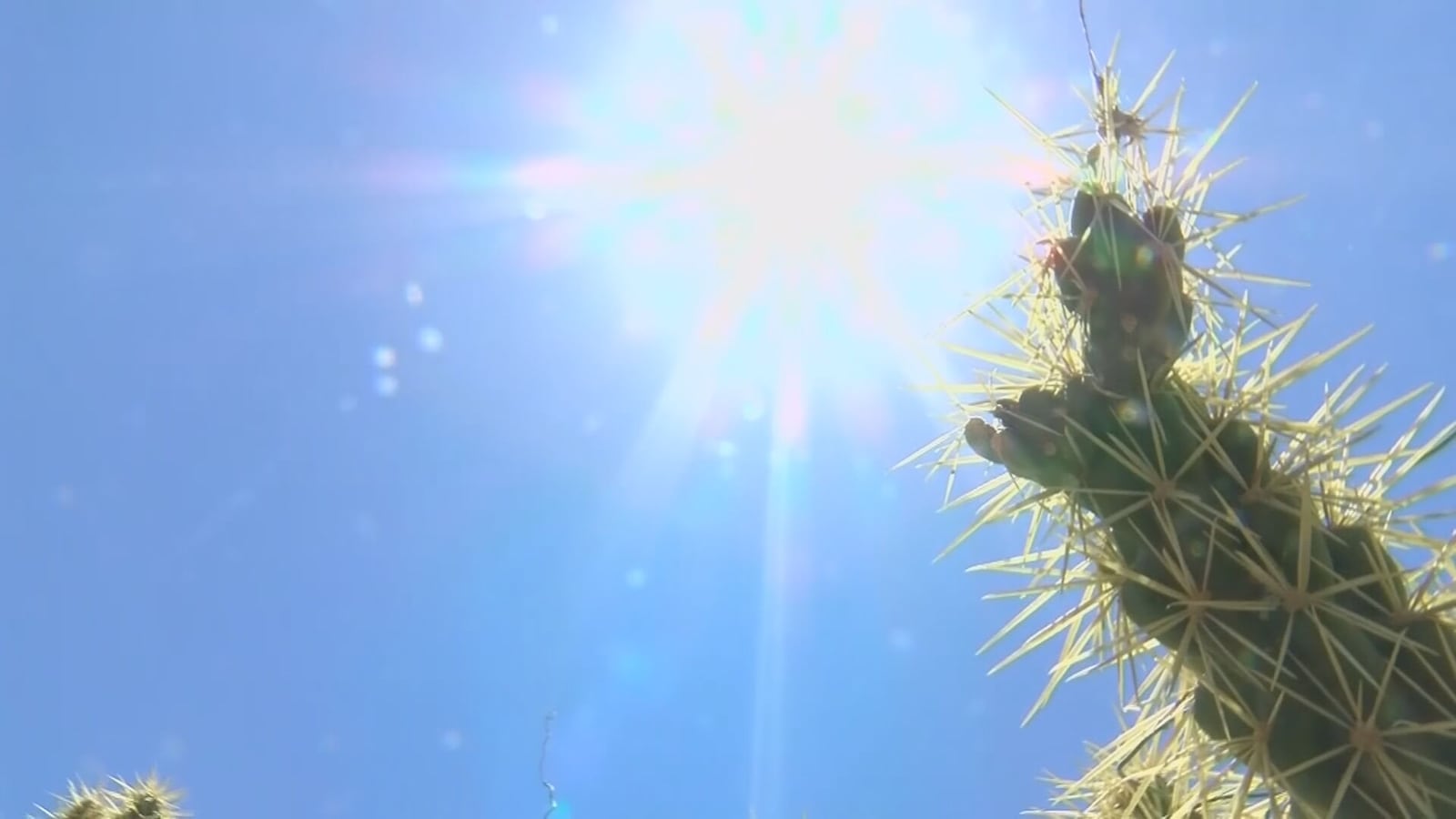Best Life: Why heat kills your appetite