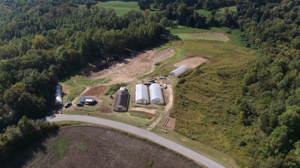 Debra Lockard's farm
