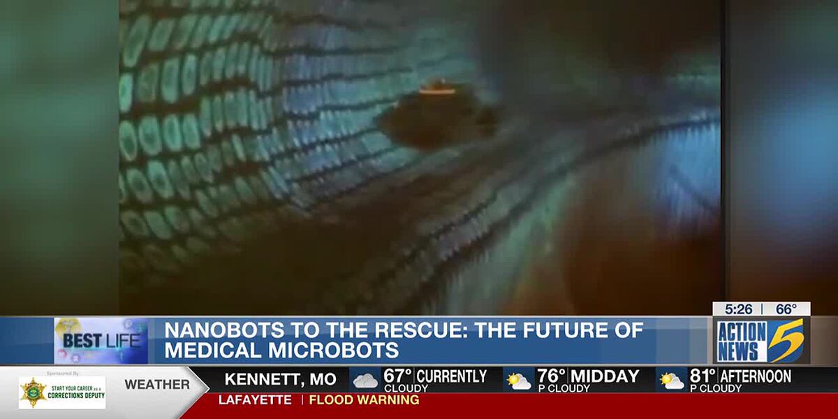 Defensive Microbots Best Life: Nanobots to the rescue: The future of medical Microbots