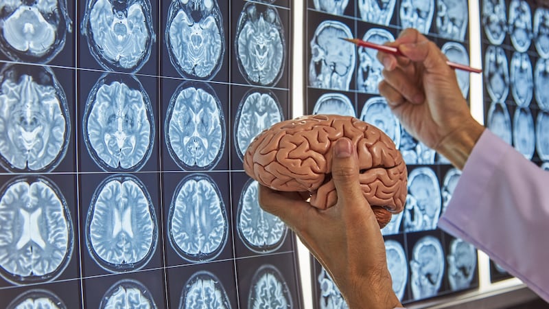 Best Life: New brain secrets uncovered