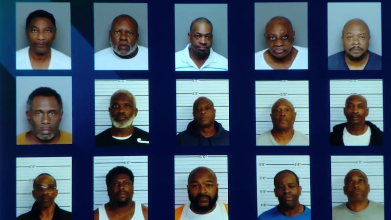 The arrests made in the operation