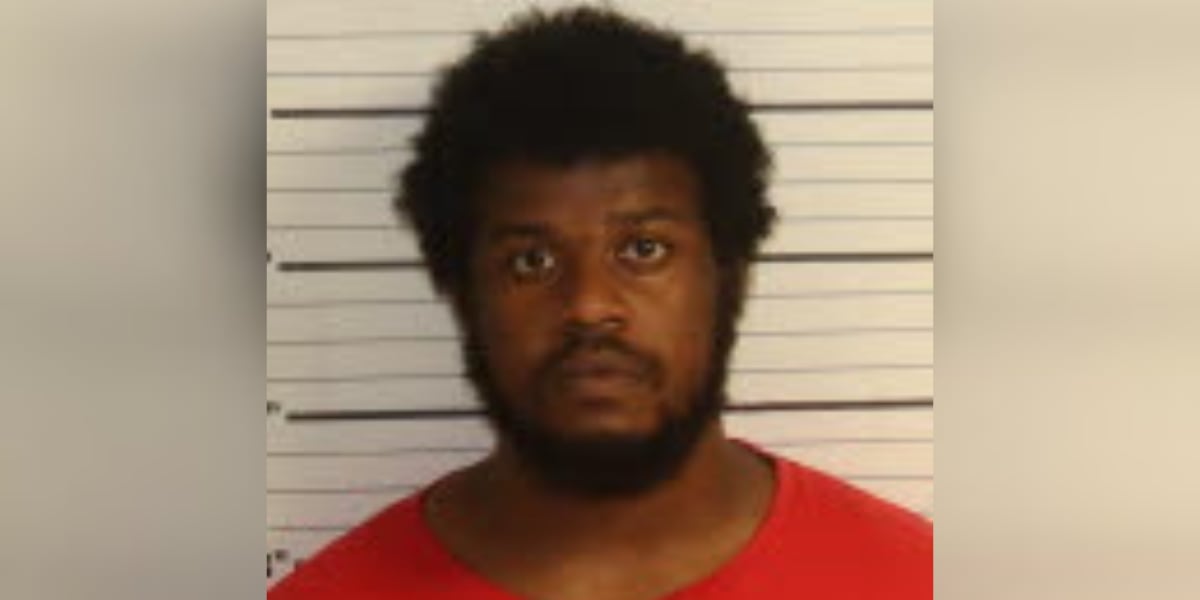 Tennessee man admits to attacking mother with bat over dinner refusal