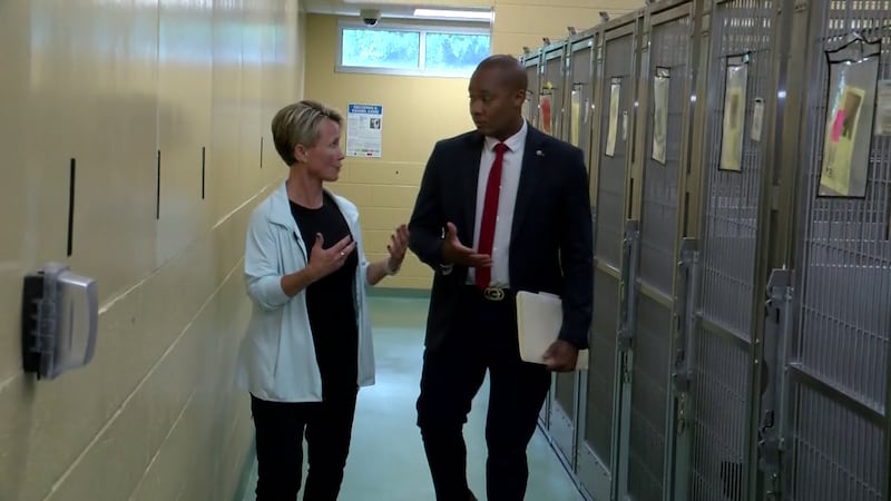 Suzy Hollenbach, the newly-appointed director of Memphis Animal Services, speaks with Action...