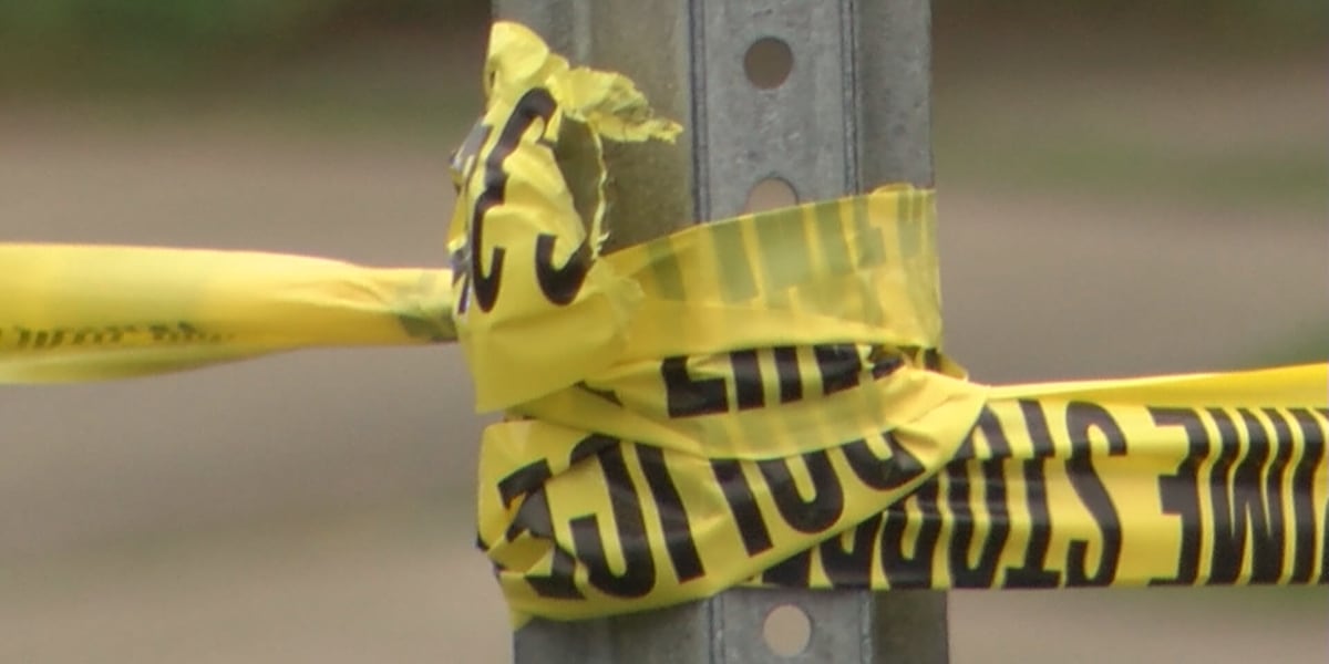 Person discovered dead from suspected dog attack, sheriff says