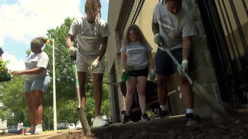 Grizzlies host community outreach event at Bickford Park, Tuesday, June 25, 2024.