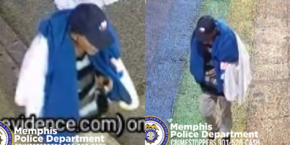 VIDEO: Man attacks woman sleeping outside Cooper-Young business