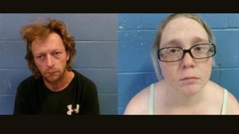 Trumann police arrested a woman and her boyfriend after finding 24 dead cats in their freezer.