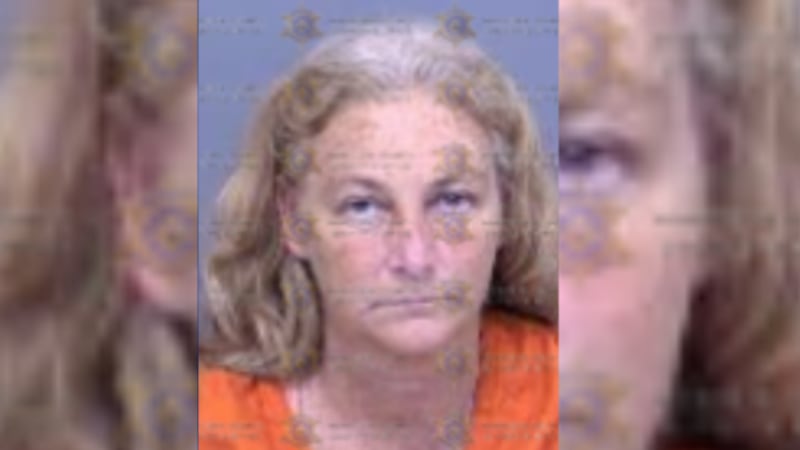 A woman in Arizona stabbed her husband on Thanksgiving, according to police.