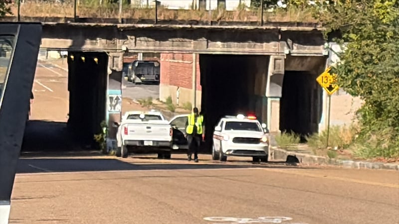 Road work on South Main Street between East Carolina Avenue and E.H. Crump Boulevard,...