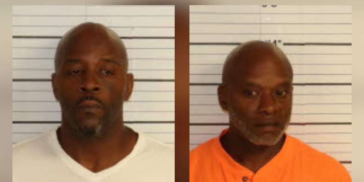 Assault News Image