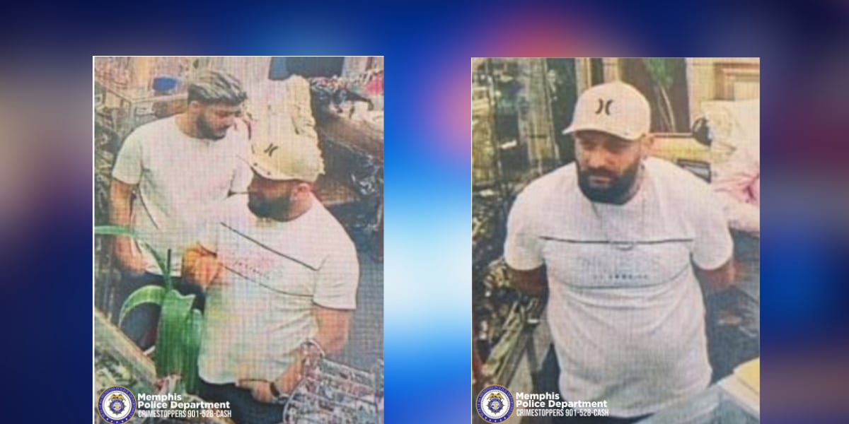 Theft News Image