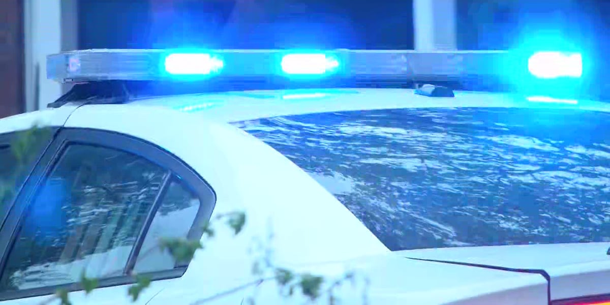 One detained, two men critical following Whitehaven shooting