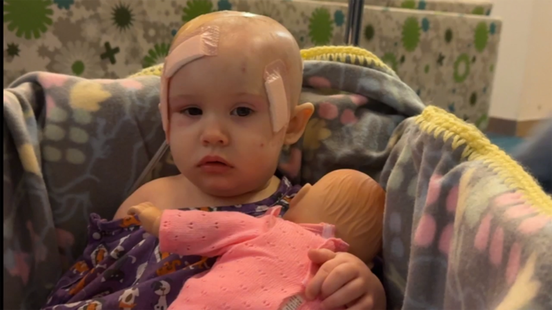 A 1-year-old child was attacked by two dogs in Salem and is now in a Portland hospital...