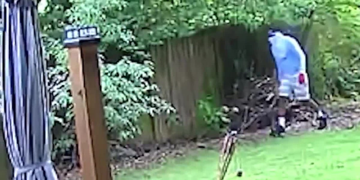 Burglary News Image