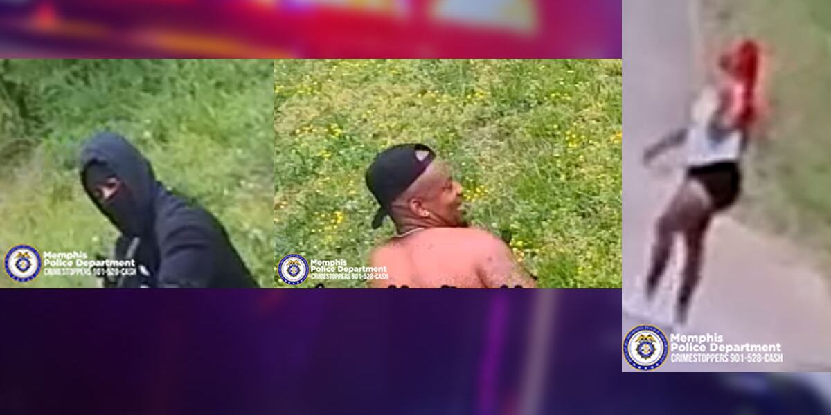 Shooting News Image