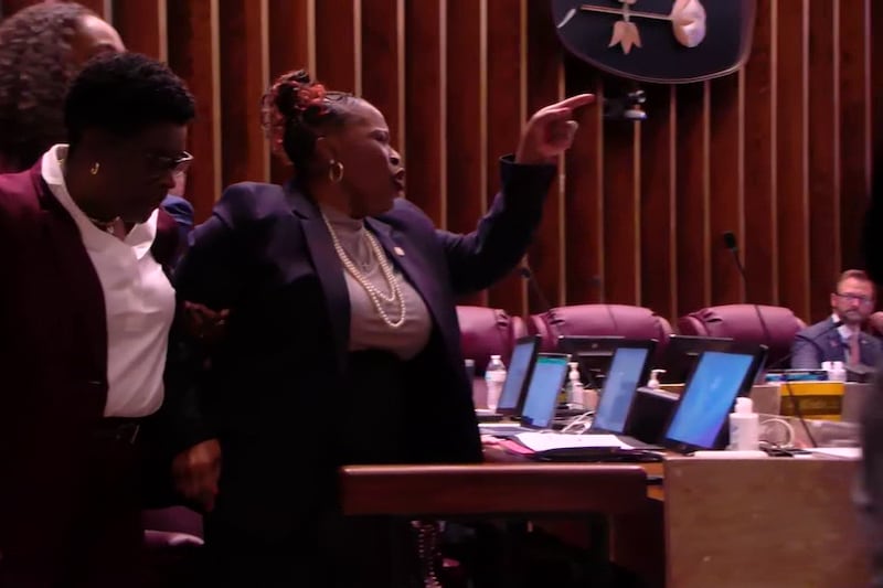 Data center moratorium vote ends abruptly amid protests, fistfight