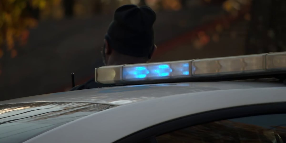 Assault News Image