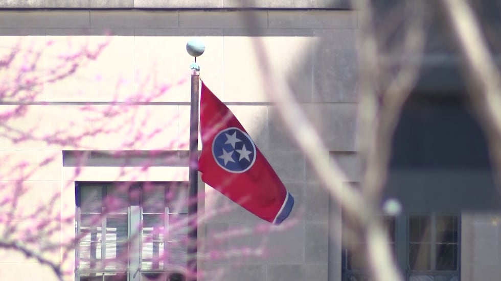 Tennessee state flag