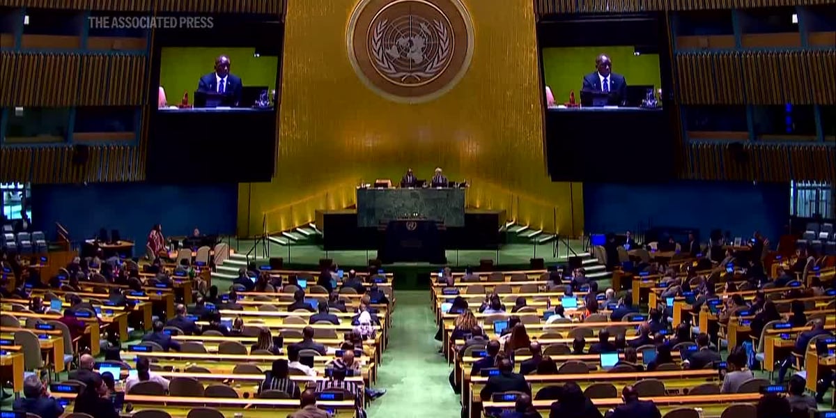 UN calls for reparations to remedy the historical wrongs of trafficking enslaved Africans
