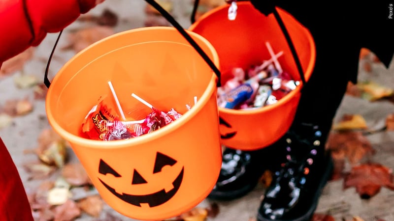Halloween is coming, but families can enjoy early events on Saturday with trunk-or-treat games...