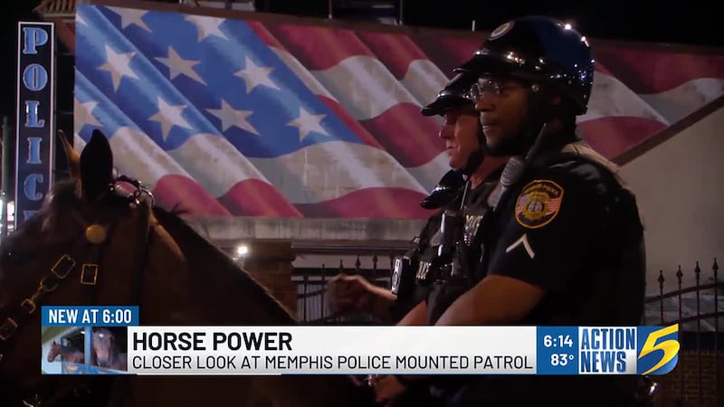 Weekends on Beale Street can bring out the party animal in the best of us, but if things get...