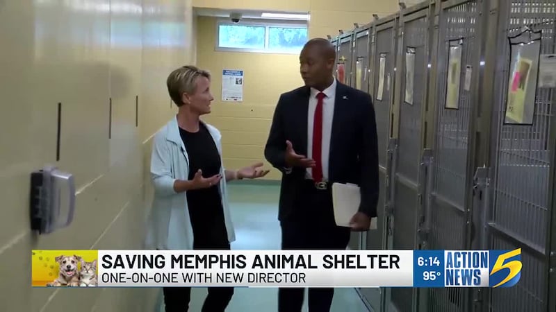 Action News 5 went one-on-one with the newly-appointed director of a beleaguered Memphis...