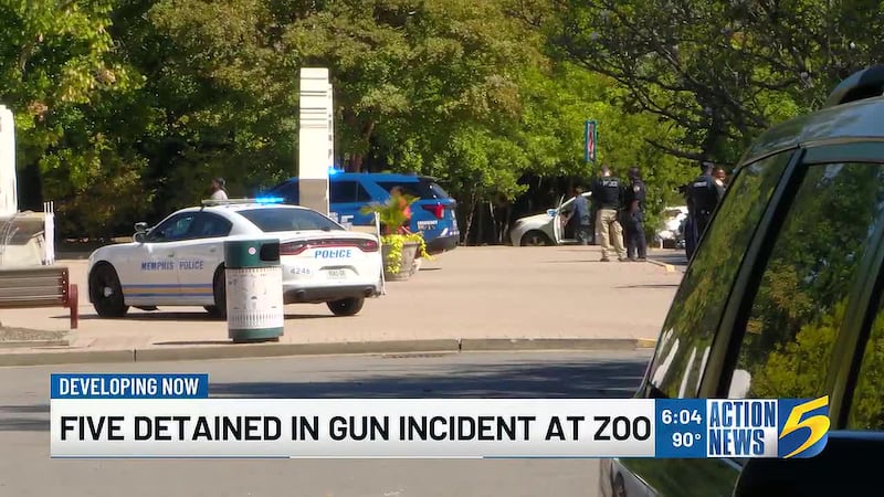 Five people were detained after a fight broke out at the Memphis Zoo and allegedly prompted a...